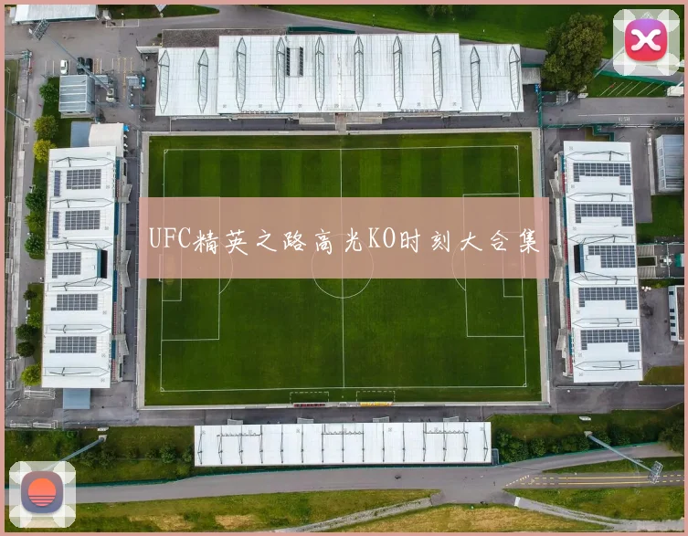 UFC精英之路高光KO时刻大合集