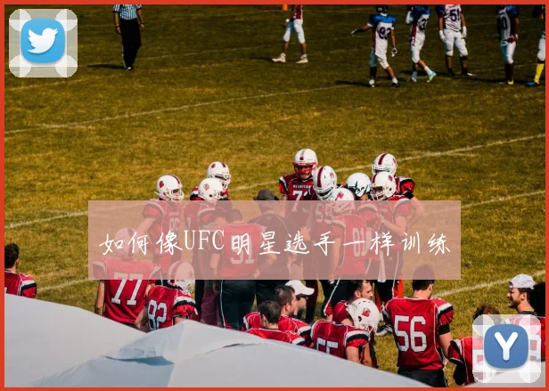 如何像UFC明星选手一样训练