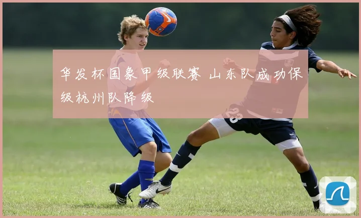 华发杯国象甲级联赛 山东队成功保级杭州队降级