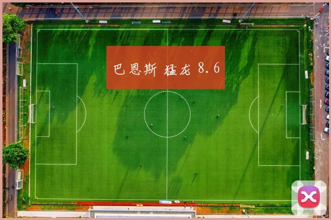 巴恩斯 猛龙 8.6