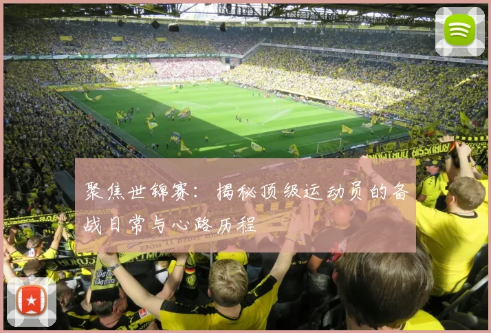 聚焦世锦赛：揭秘顶级运动员的备战日常与心路历程