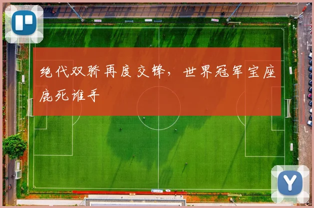 绝代双骄再度交锋,世界冠军宝座鹿死谁手
