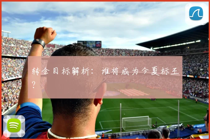 转会目标解析：谁将成为今夏标王？