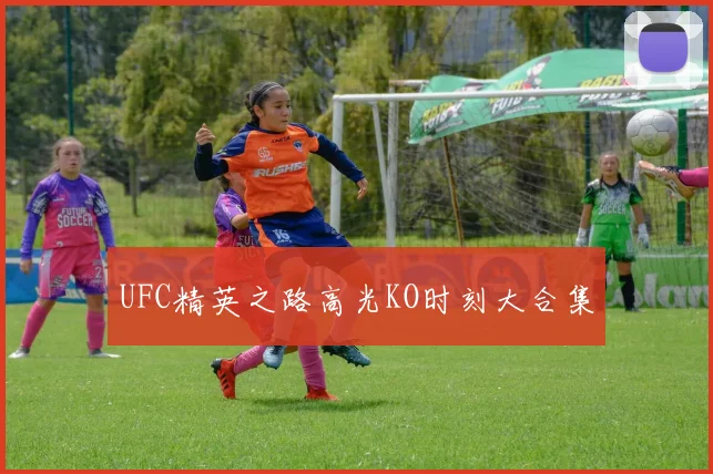 UFC精英之路高光KO时刻大合集