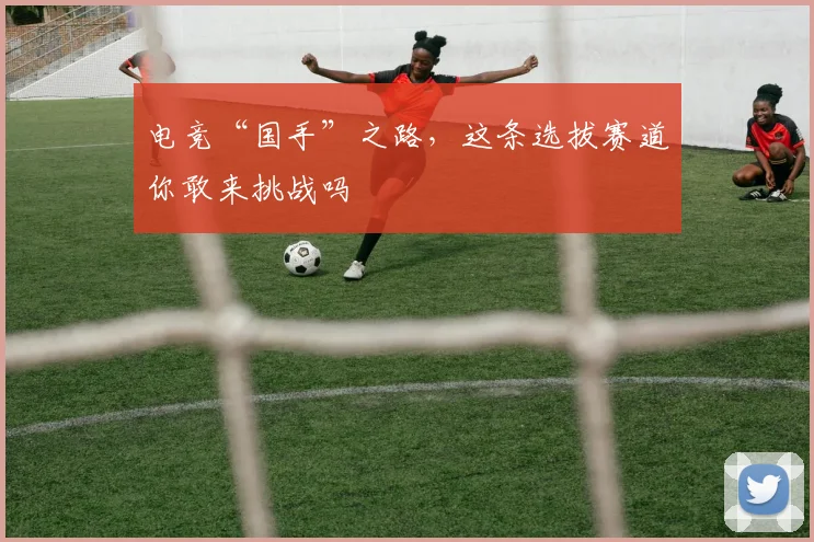 电竞“国手”之路，这条选拔赛道你敢来挑战吗