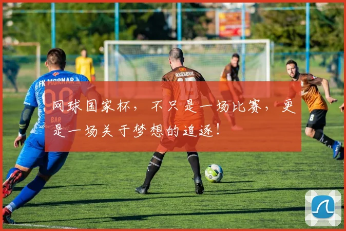 网球国家杯，不只是一场比赛，更是一场关于梦想的追逐！