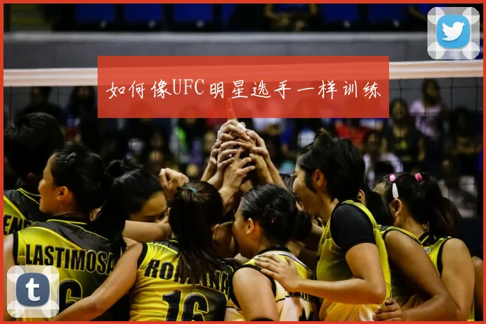 如何像UFC明星选手一样训练