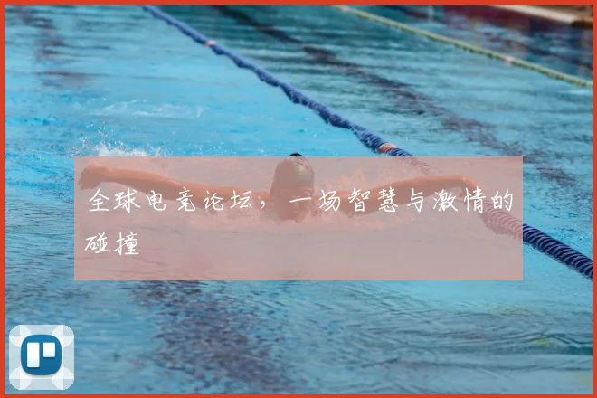 全球电竞论坛，一场智慧与激情的碰撞